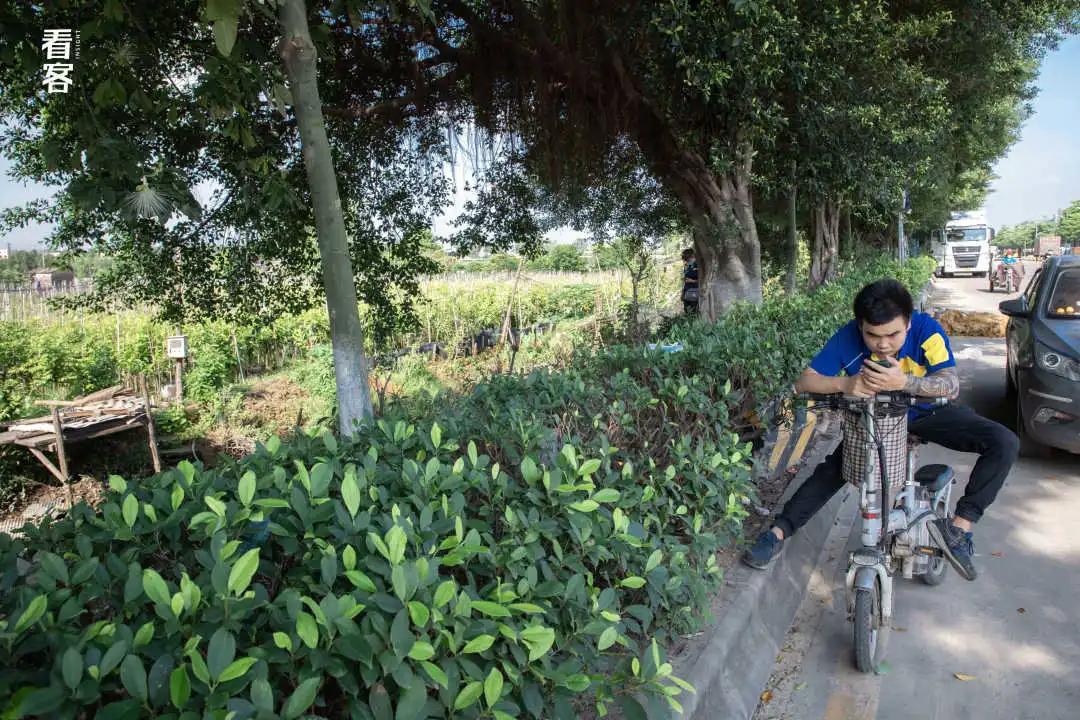 物流分拣夜班视频,物流分拣站夜班