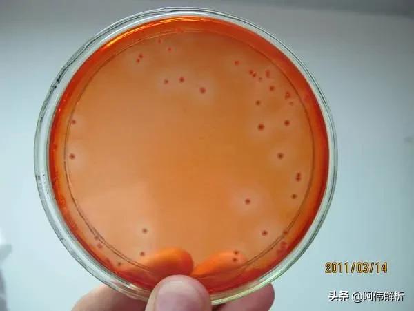 焰色反应实验报告简单,显色反应化学实验高中