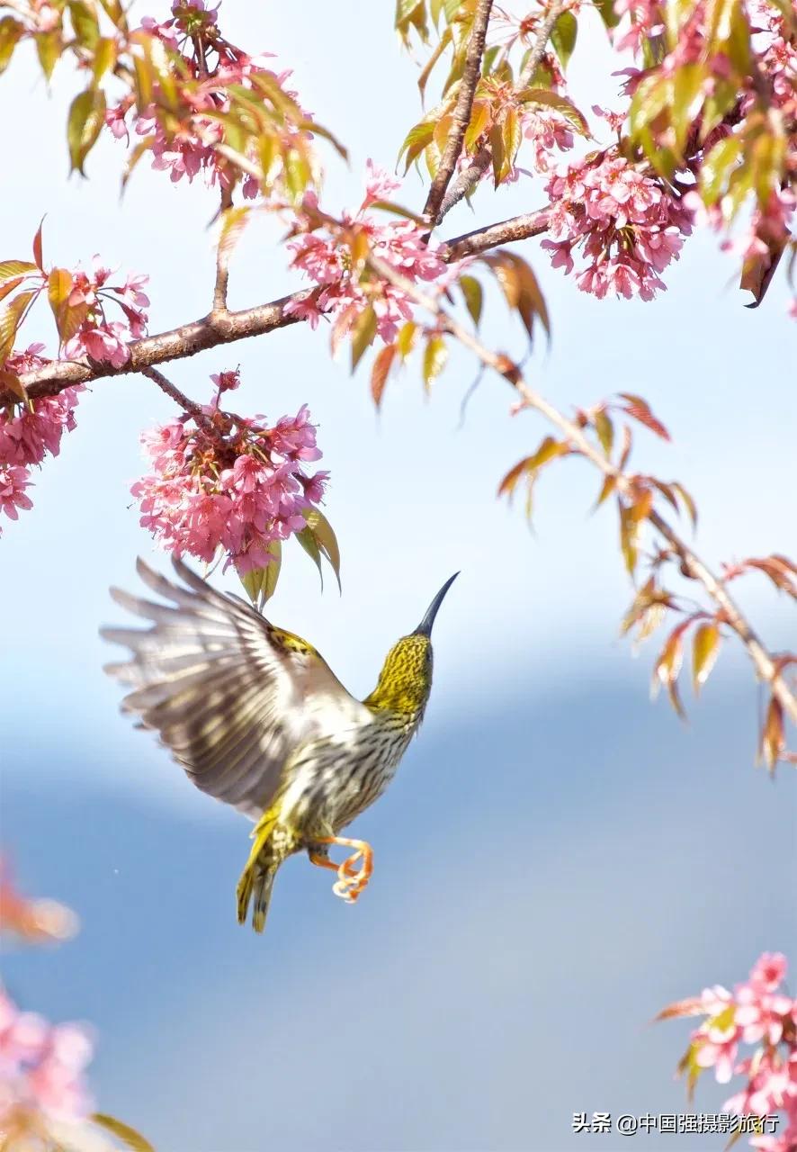 全世界最美的高速公路,世界公认的5个绝美公路