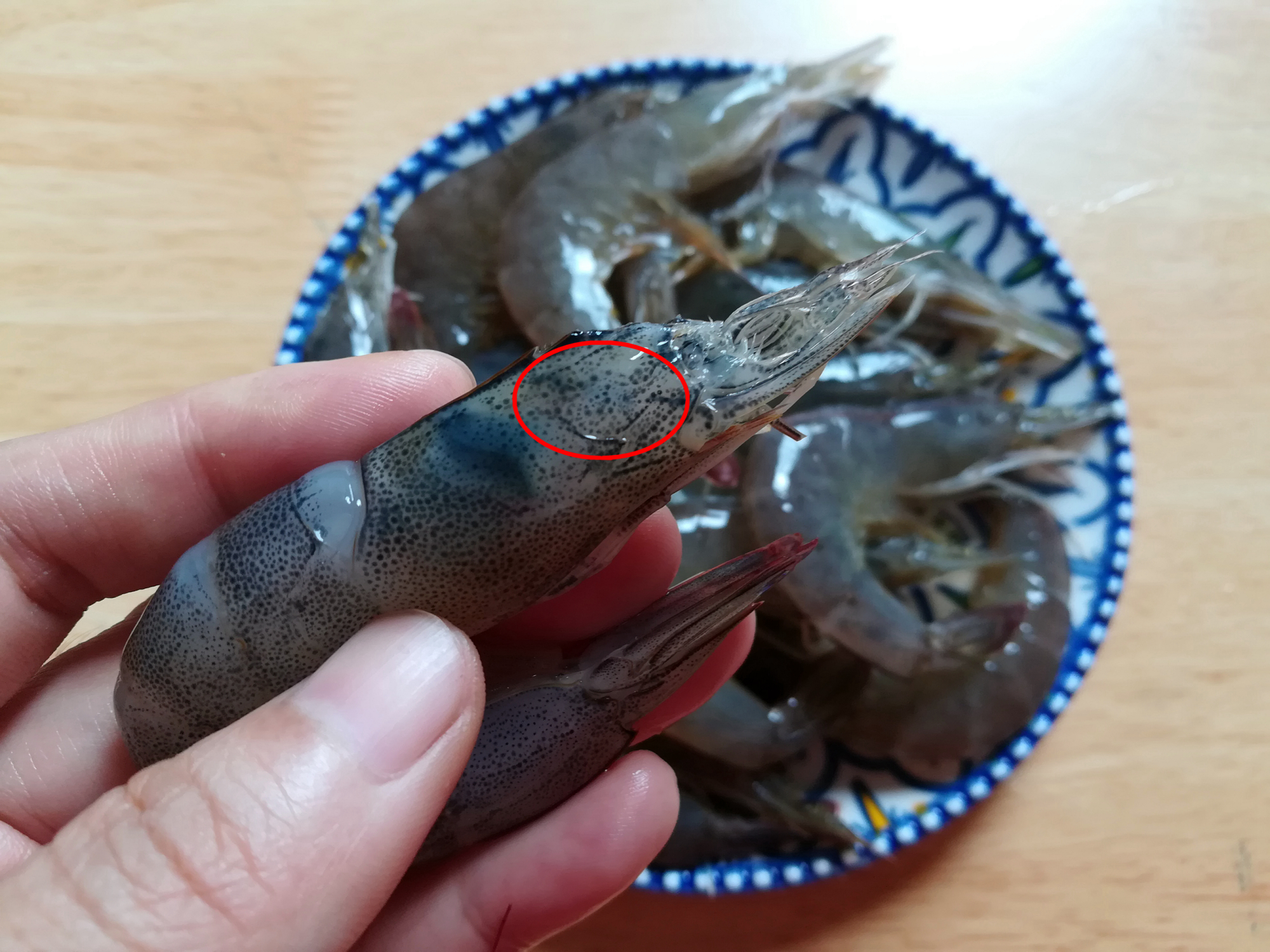 虾头里面的东西到底是膏还是粑粑,虾头里的是虾脑还是虾屎