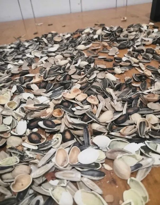 80后奶爸拍摄大片,80后奶爸拍摄西瓜视频