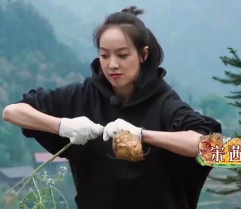 宋茜向往的生活3,宋茜劈柴完整版