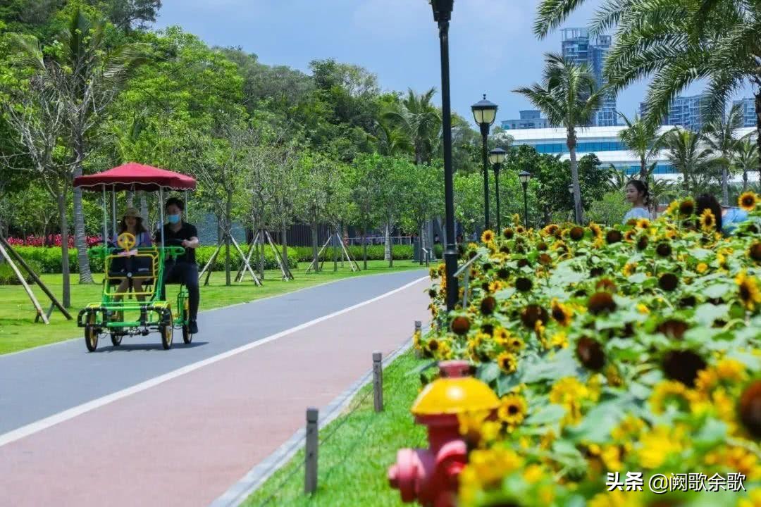 珠海旅游攻略四日游最佳路线推荐,珠海旅游攻略夏日游玩地点