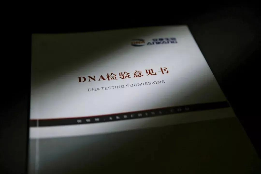 亲子鉴定师看遍人生百态,亲子鉴定师手记真相