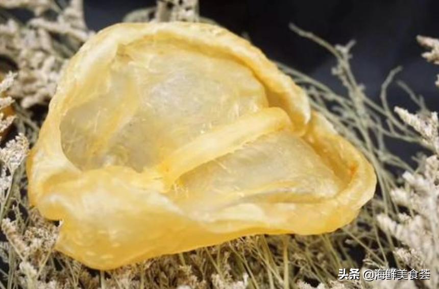 鱼胶的营养价值真的有那么高吗,鱼胶究竟有没有高的营养价值