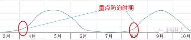 防治柑橘红蜘蛛药剂的药效评价,柑橘使用代森锰锌复配红蜘蛛药剂