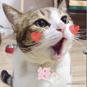 cad里面dwf格式的文件怎么换成pdf,2021版本cad怎么插入dwf图纸