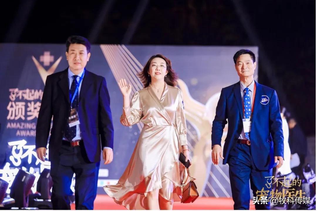 初心如磐笃行致远中国人寿,初心如磐笃行致远军训落幕篇