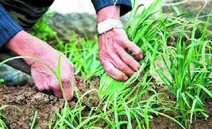 给网络朋友的一封信,写给电商小白的信