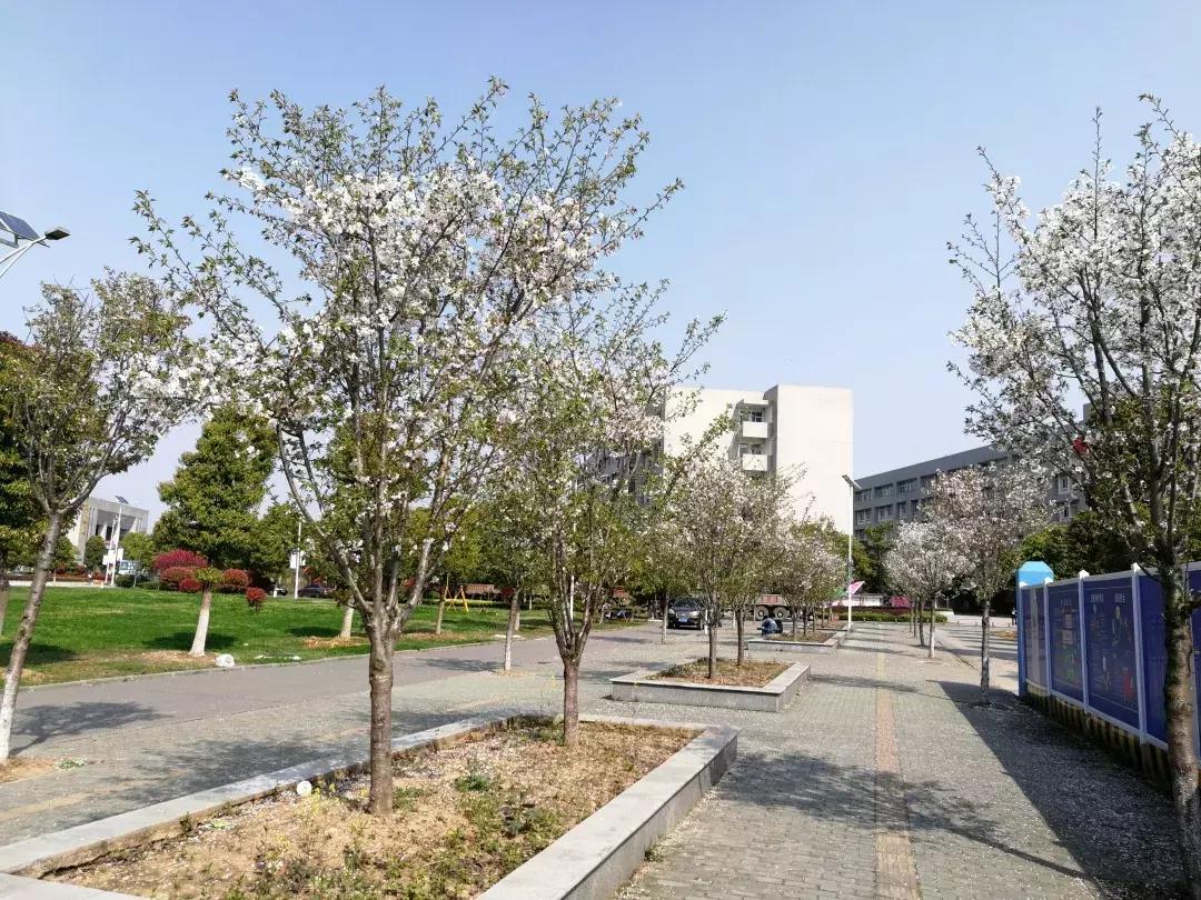 湖北国土资源职业学院信号好吗,湖北国土资源职业学院什么好