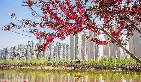 洛阳适合休息的公园,洛阳免费公园景点大全