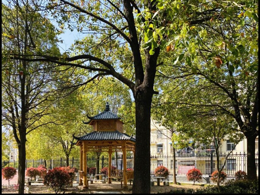 武汉光谷教育,武汉光谷教育学校