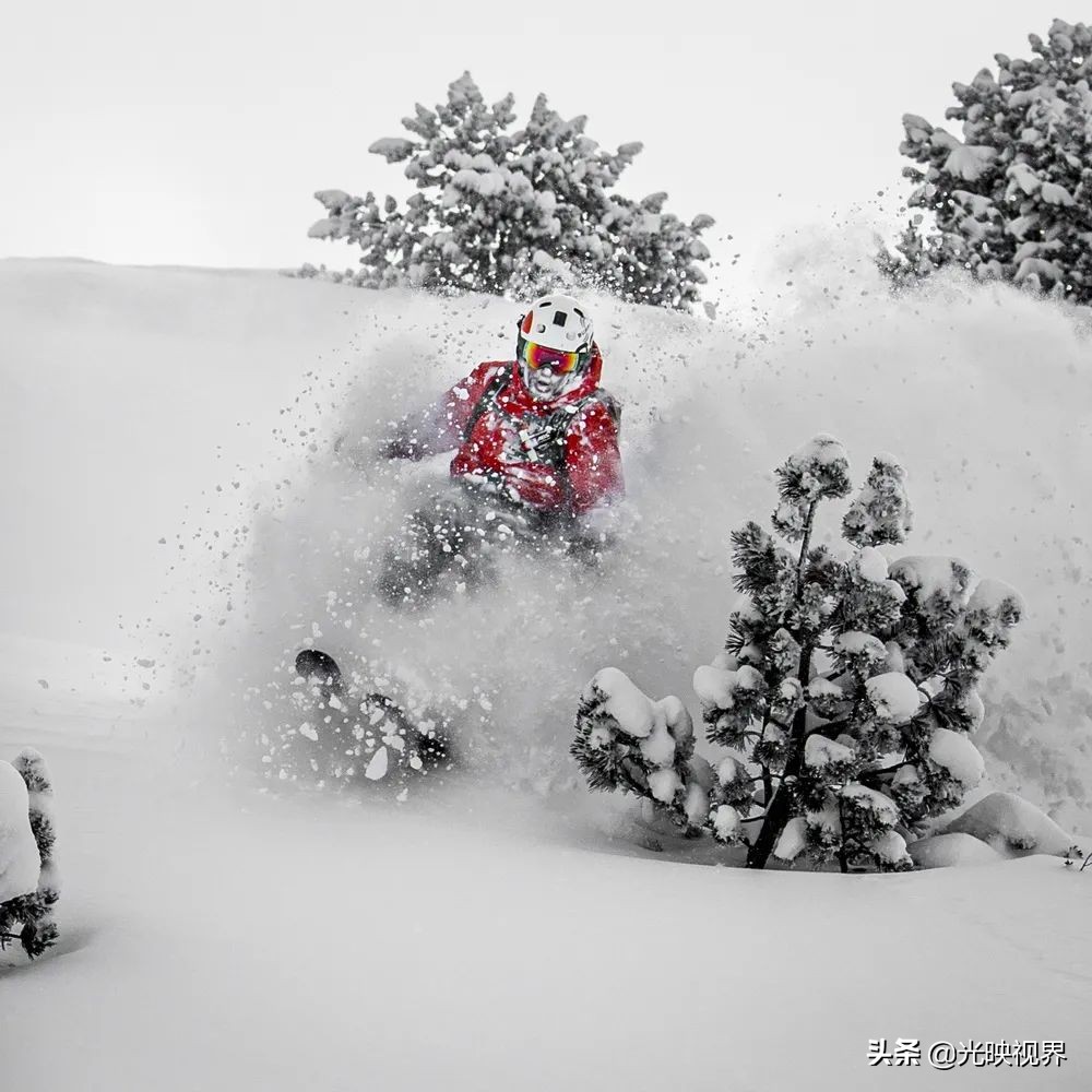 2022年度的ipa摄影大赛获奖作品,2020ippa摄影大赛奖项公布