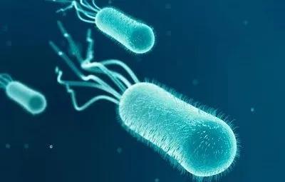 pct异常升高常见哪些疾病,pct突然升高