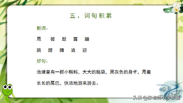 小蝌蚪找妈妈课程分享ppt,小蝌蚪找妈妈ppt教师讲解视频