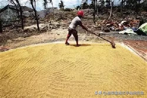 皇帝种地顺口溜,种地插秧顺口溜