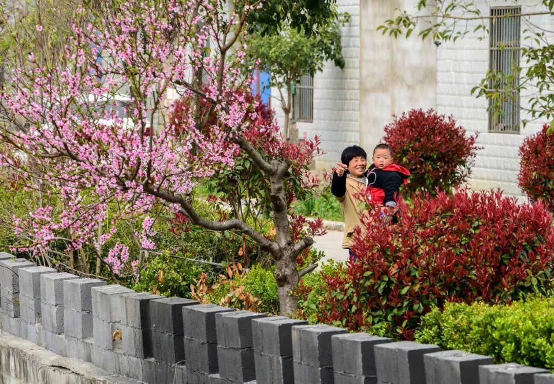 江苏省铜山县大许镇,江苏省徐州市铜山区大许镇