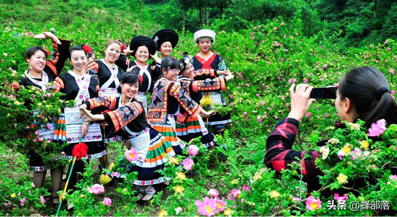 贵州特产刺梨哪个牌子好,贵州刺梨的来历