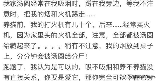 二手烟对猫有影响吗,二手烟对猫的危害