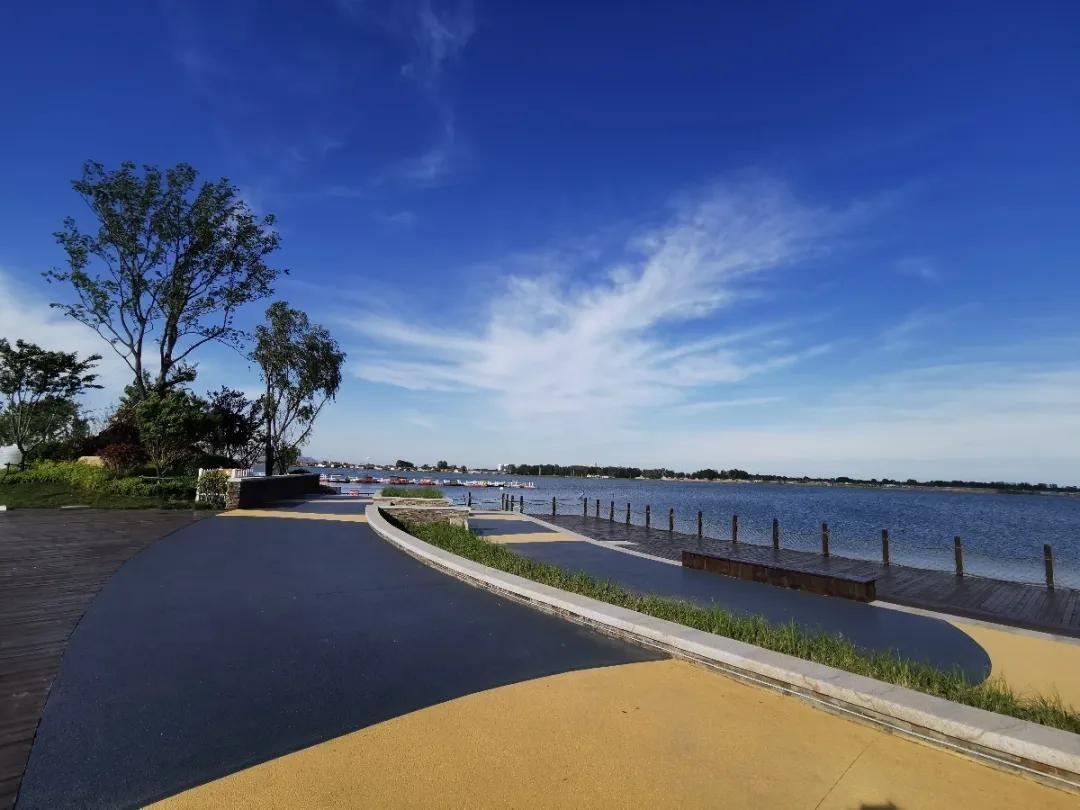 初夏去花海好玩吗,初夏去海边好玩吗