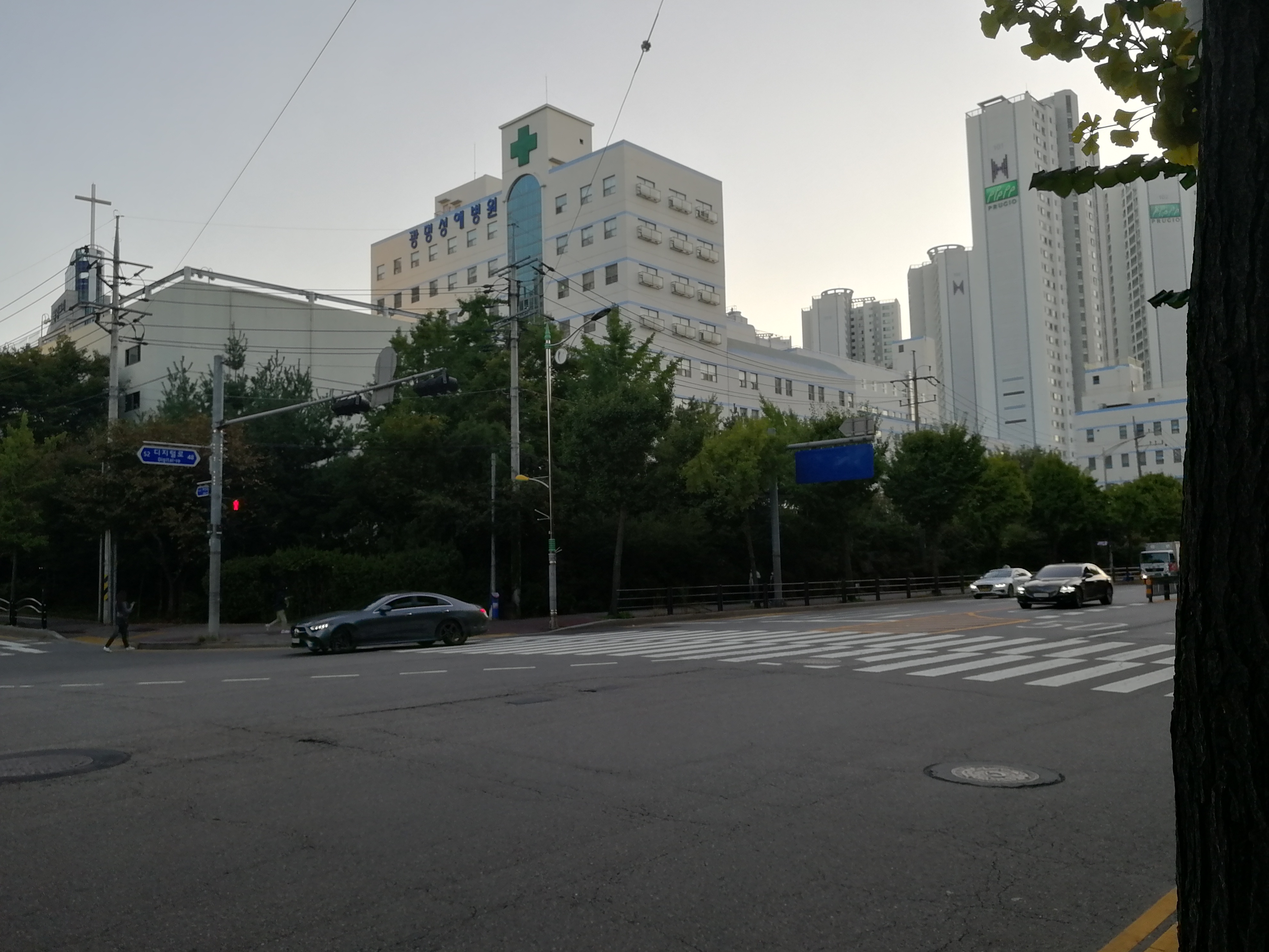 韩国回国感受,韩国回国过程和费用