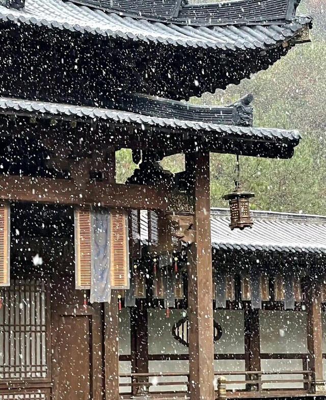 浮生只合尊前老雪满长安道,浮生只合尊前老雪满长安道解释