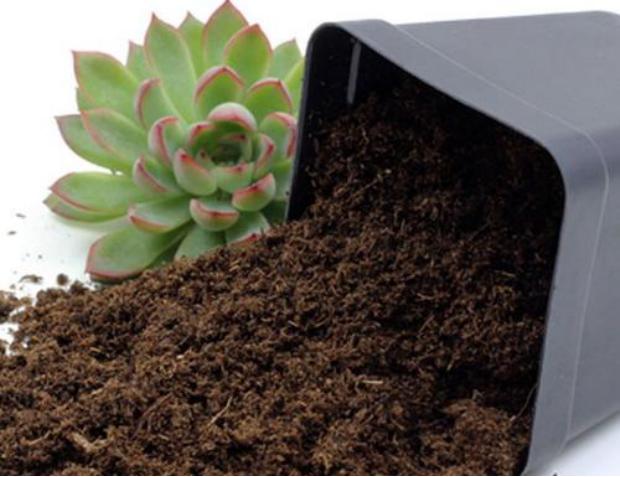 管控、封国、隔离、涨价，这些园艺耗材受影响