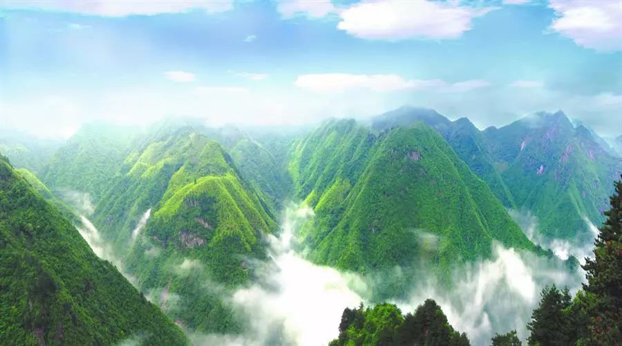 浙江最值得去的13家亲子酒店,安吉最赞的亲子酒店