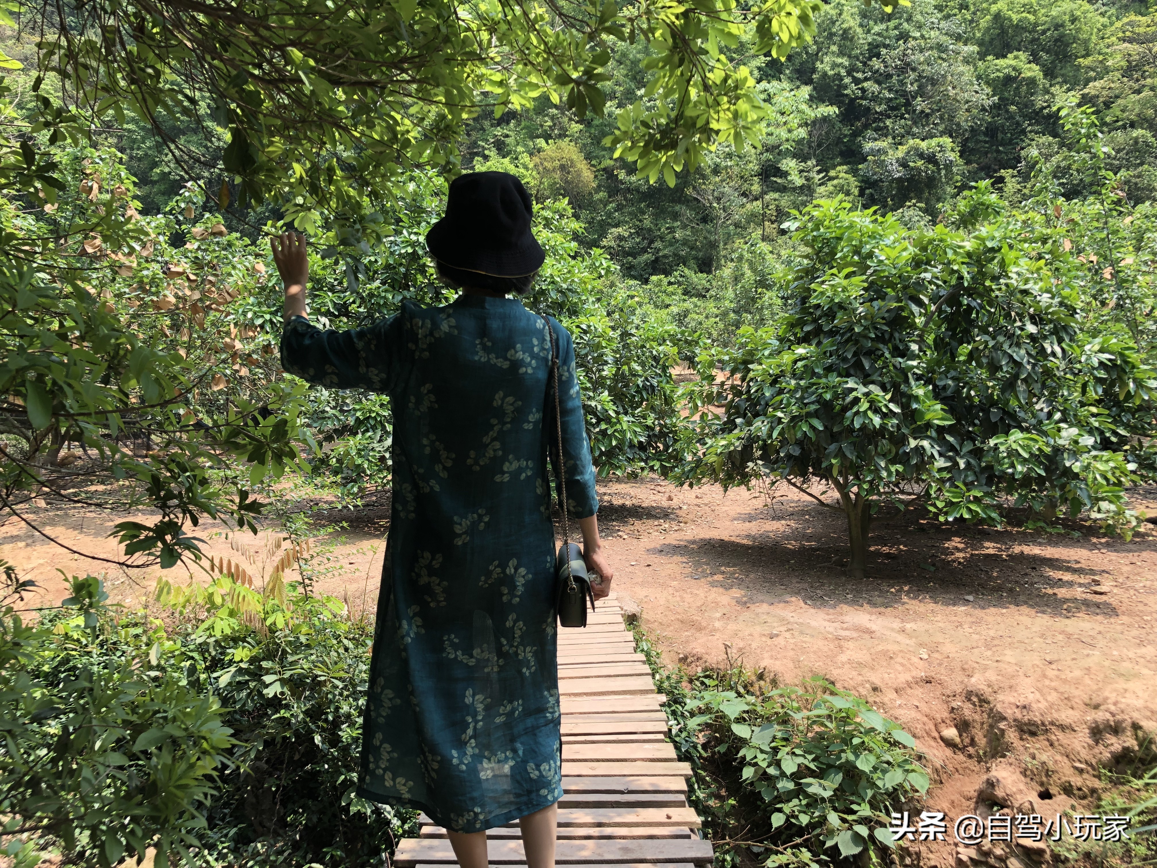 广东游万绿湖,广东河源万绿湖旅游攻略
