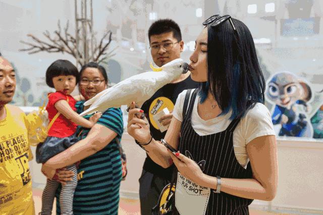 宠物生活节南京,南京宠物文化节活动