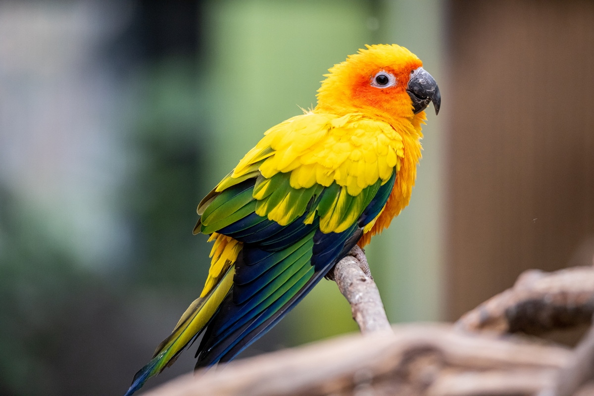 浣宠兘rf400mmf2.8璇勬祴,浣宠兘rf-s24-105mm娴嬭瘎