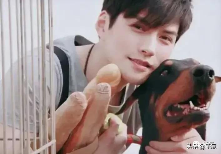 十世情商换一世容颜,是有多傻多美?