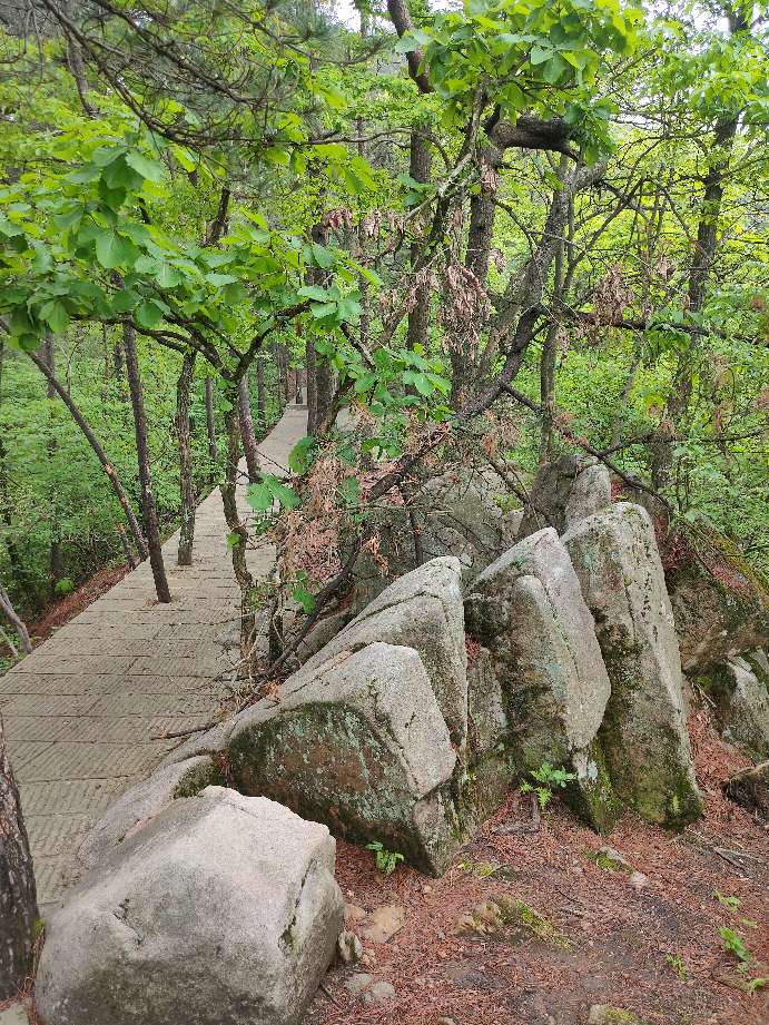 金寨县天堂寨风景区白马大峡谷,金寨县天堂寨风景区雪景