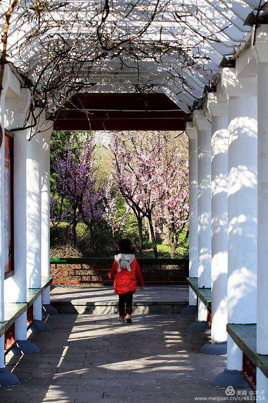 儿童摄影：童年是金色的，满满的幸福