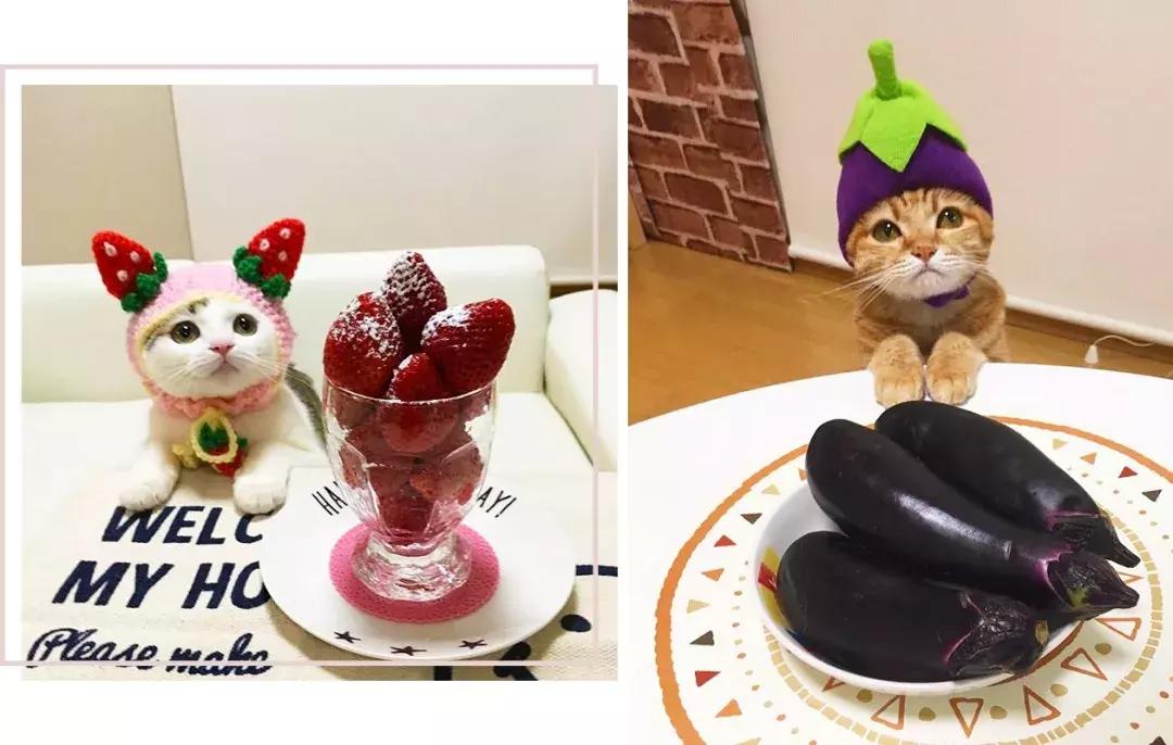 gucci和supreme联名马丁靴,guccisupreme鞋子