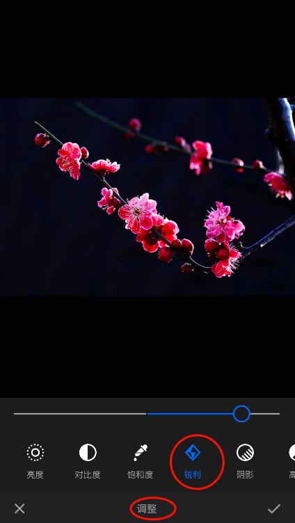 手机修图怎么修成油画感,艺术照片后期修图教程