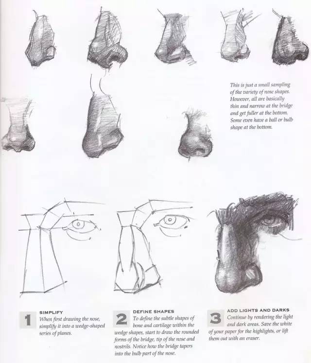 美术资料大全,大象的鼻子简单画法