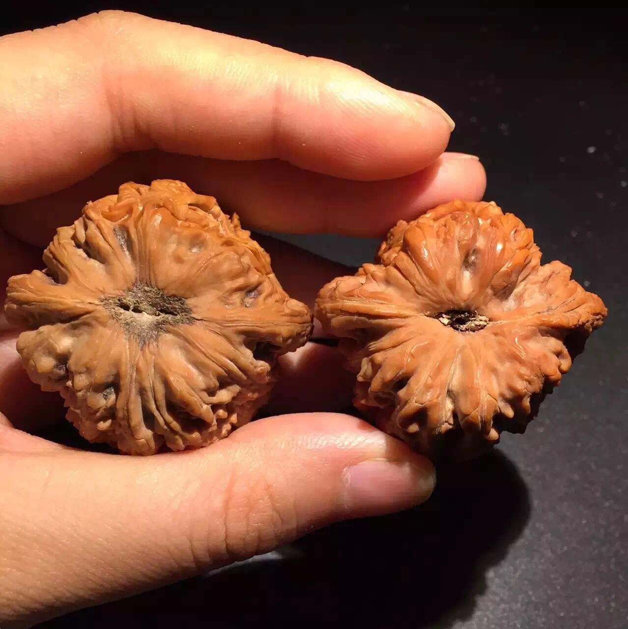 武大郎广州,武大郎在广州哪里