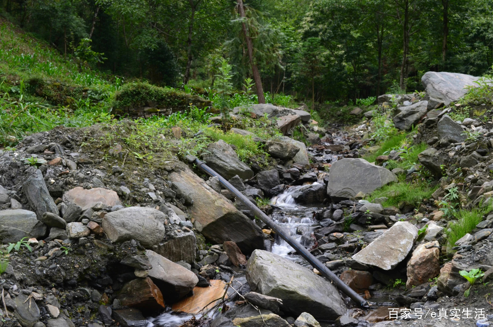 上里古镇，一个名副其实的古镇，人很少，跟丽江大研古城有的一比