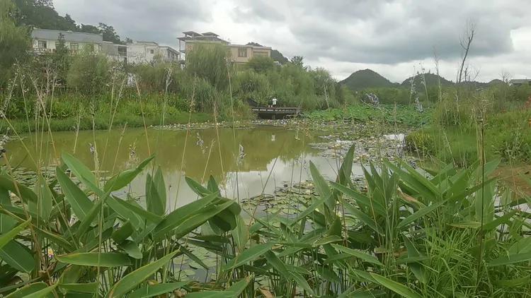 贵州蓬莱仙界旅游攻略,白云区蓬莱仙界景点介绍