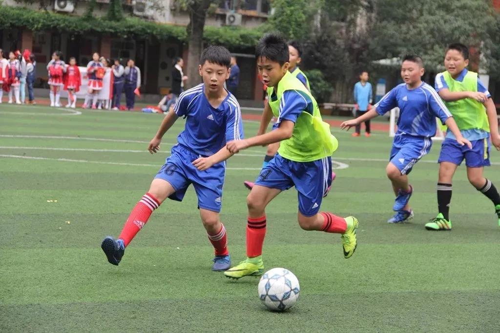 学校又多又集中，“成华五片”此前是被低估了吗？