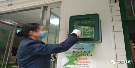 映日荷花别样红,映日牡丹别样红