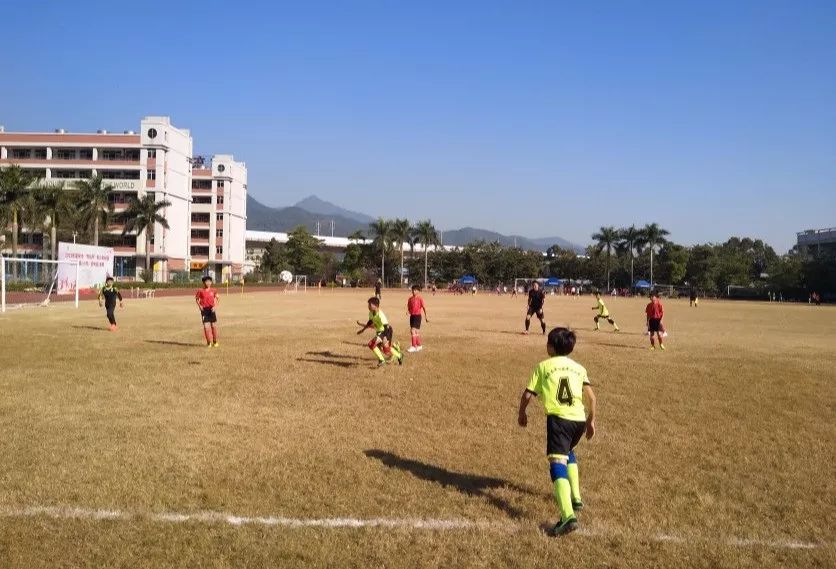 肇庆青少年足球锦标赛德庆端州,广东省青少年校园足球联赛肇庆