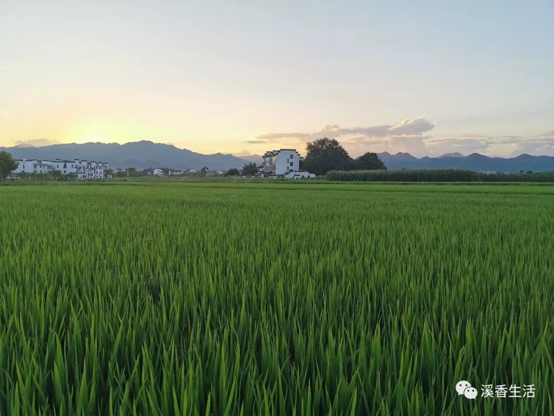 西溪南古村落惬意慢生活,徽州西溪南生活