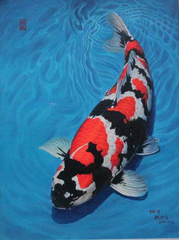 鱼缸养锦鲤鱼的方法和技巧,鱼缸新手养锦鲤鱼的正确方法