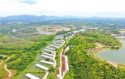 献礼百年华诞|水台镇：昔日“山区镇”今日“湾区镇”