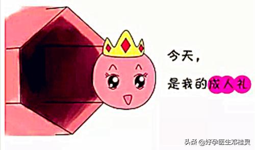 假孕争宠怎么触发,假孕争宠真实案例