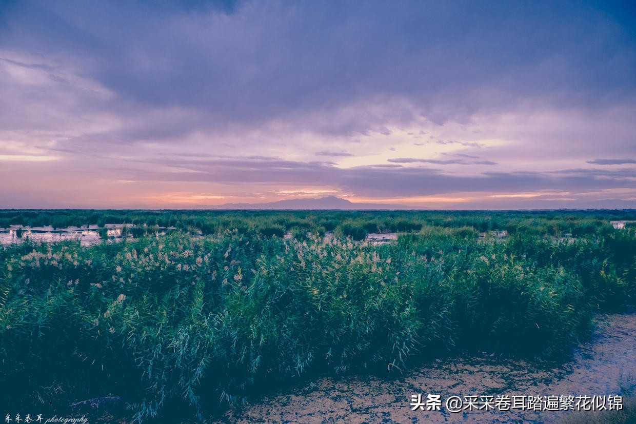 慢游景点,博斯腾湖景点打卡