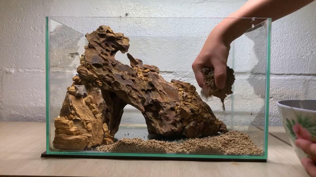 小草缸造景入门水草基本知识,小型草缸造景入门水草基本知识