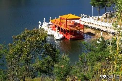 志愿填报参考：中国31省市实力排前五的大学最全盘点！